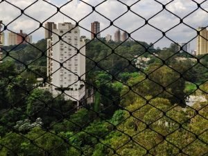 Redes de proteção para idosos em Campo Grande