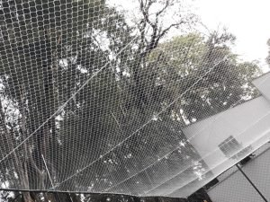 Redes de segurança para cobertura em Campo Grande