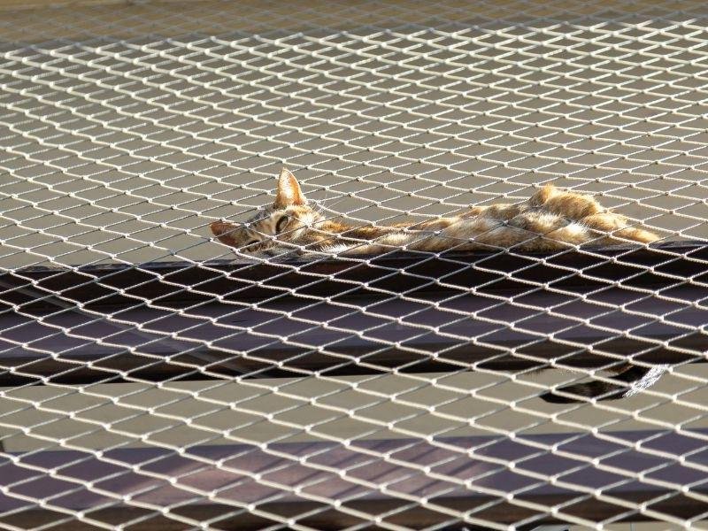 Instalação de rede de segurança em Sidrolândia