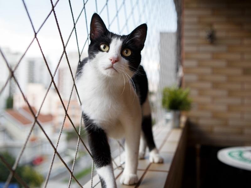 Rede para janelas de alta resistência em Campo Grande