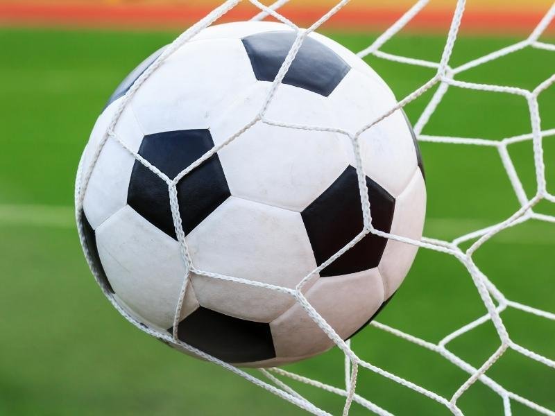 Instalação de tela protetora em Terenos