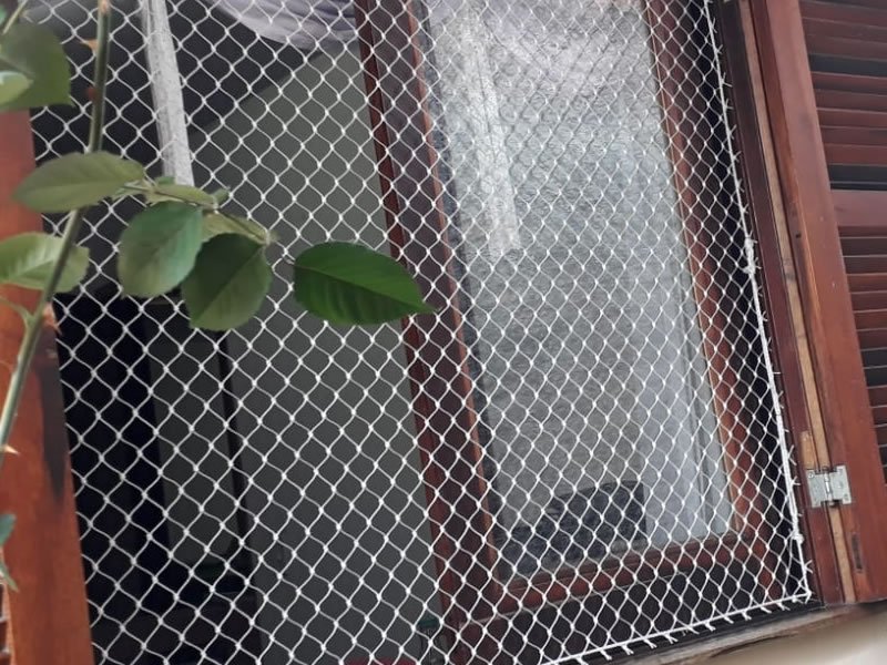 Proteja animais com rede protetora em Campo Grande