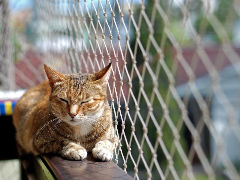 Rede de proteção com qualidade garantida em Corguinho