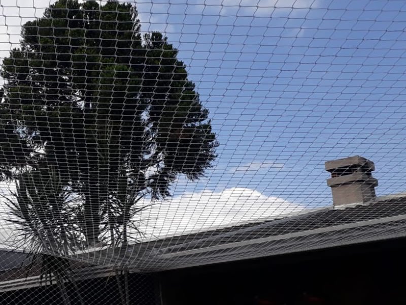 Tela de segurança com qualidade garantida em Bandeirantes MS