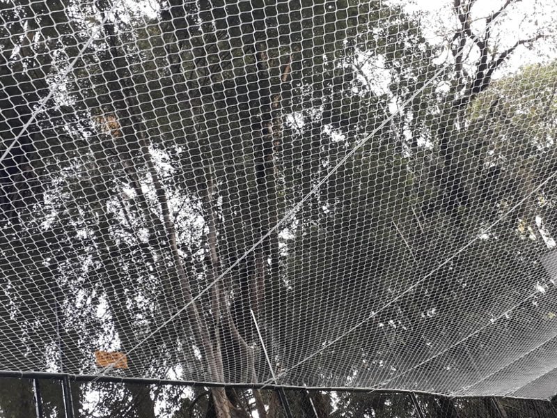 Rede de Proteção Campo Grande