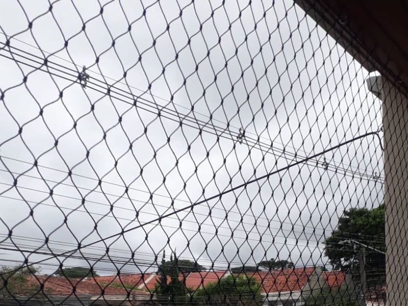 Rede de Proteção Campo Grande