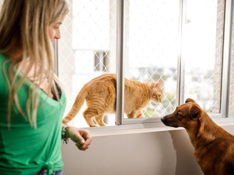 Redes de Proteção Nova Alvorada do Sul