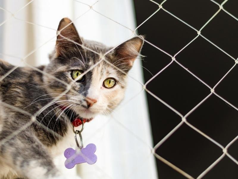 Redes de Proteção Rochedo MS