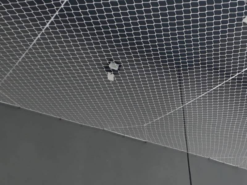 Rede de Proteção para Gatos em Nova Alvorada do Sul