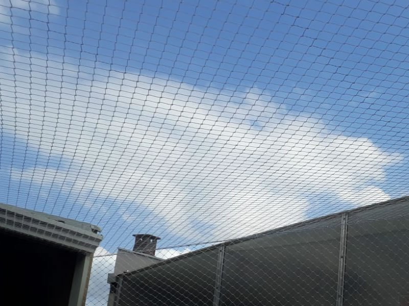 Redes de Proteção Campo Grande