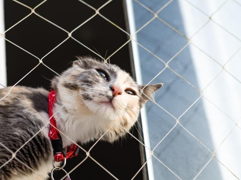 Redes de Proteção em Jaraguari