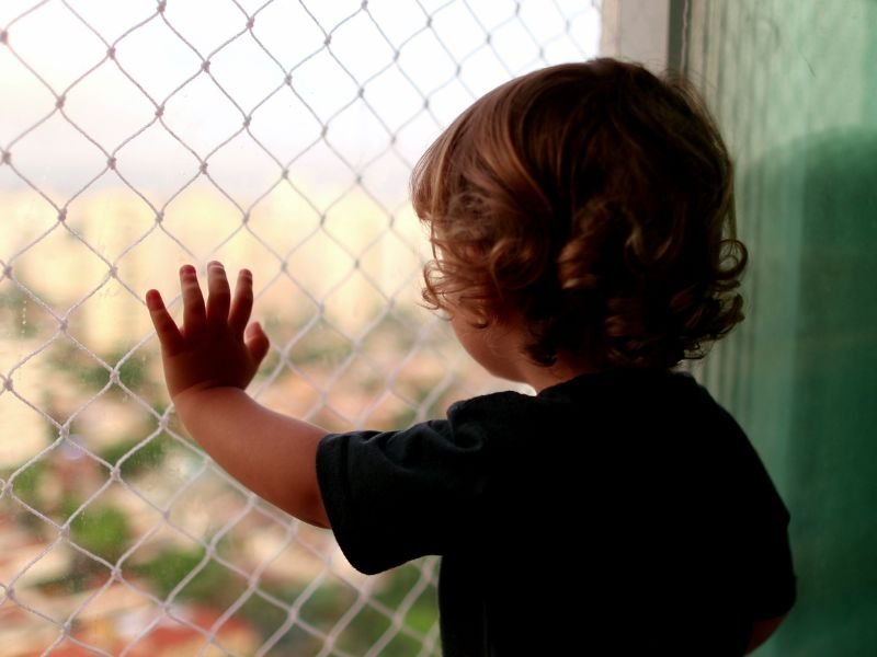 Telas de Proteção em Rochedo MS